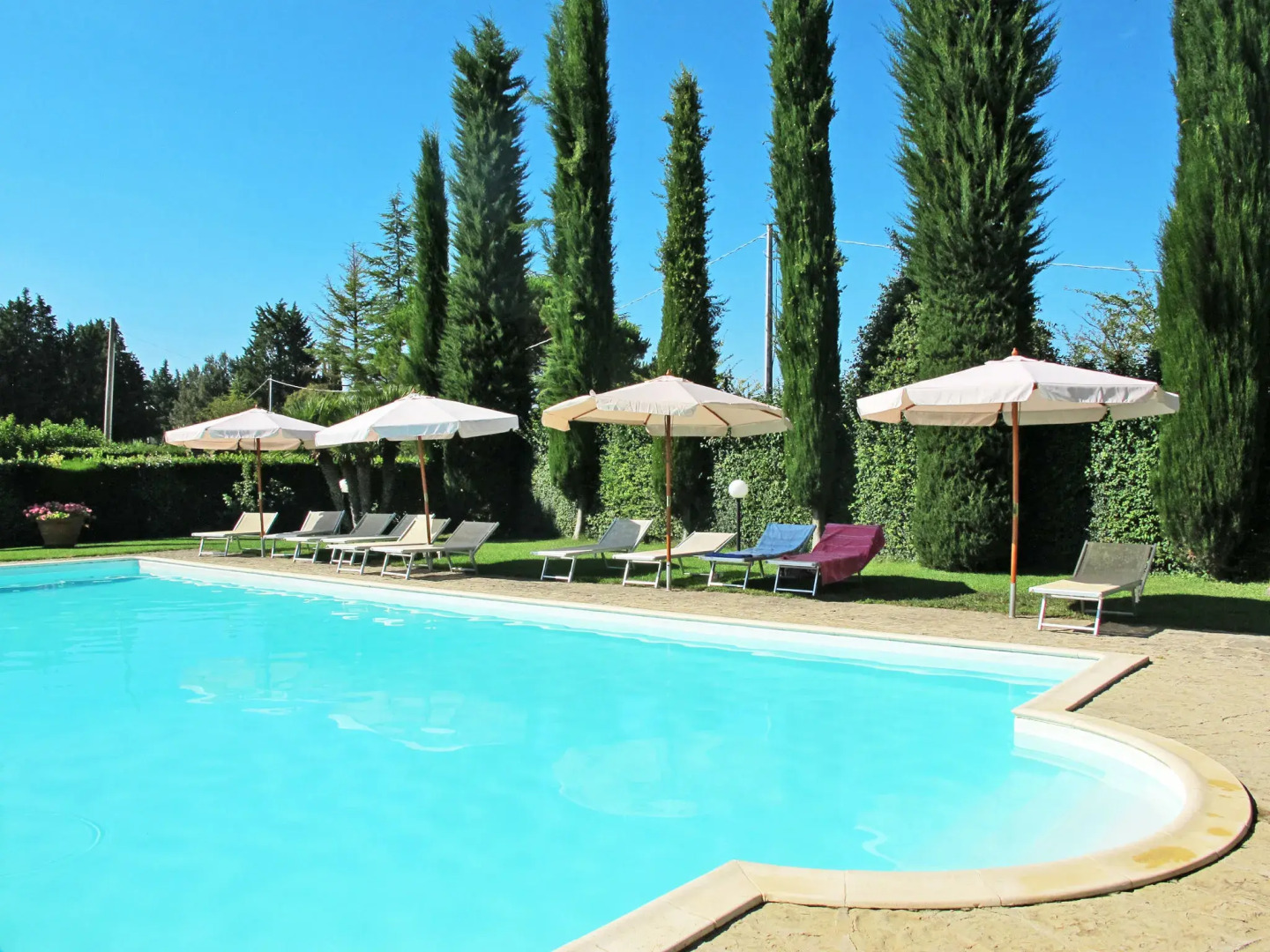 Giuggiolo - Giuggioli 1