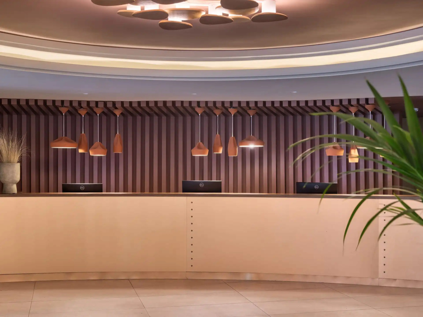 Domes Aulus Zante, Autograph Collection