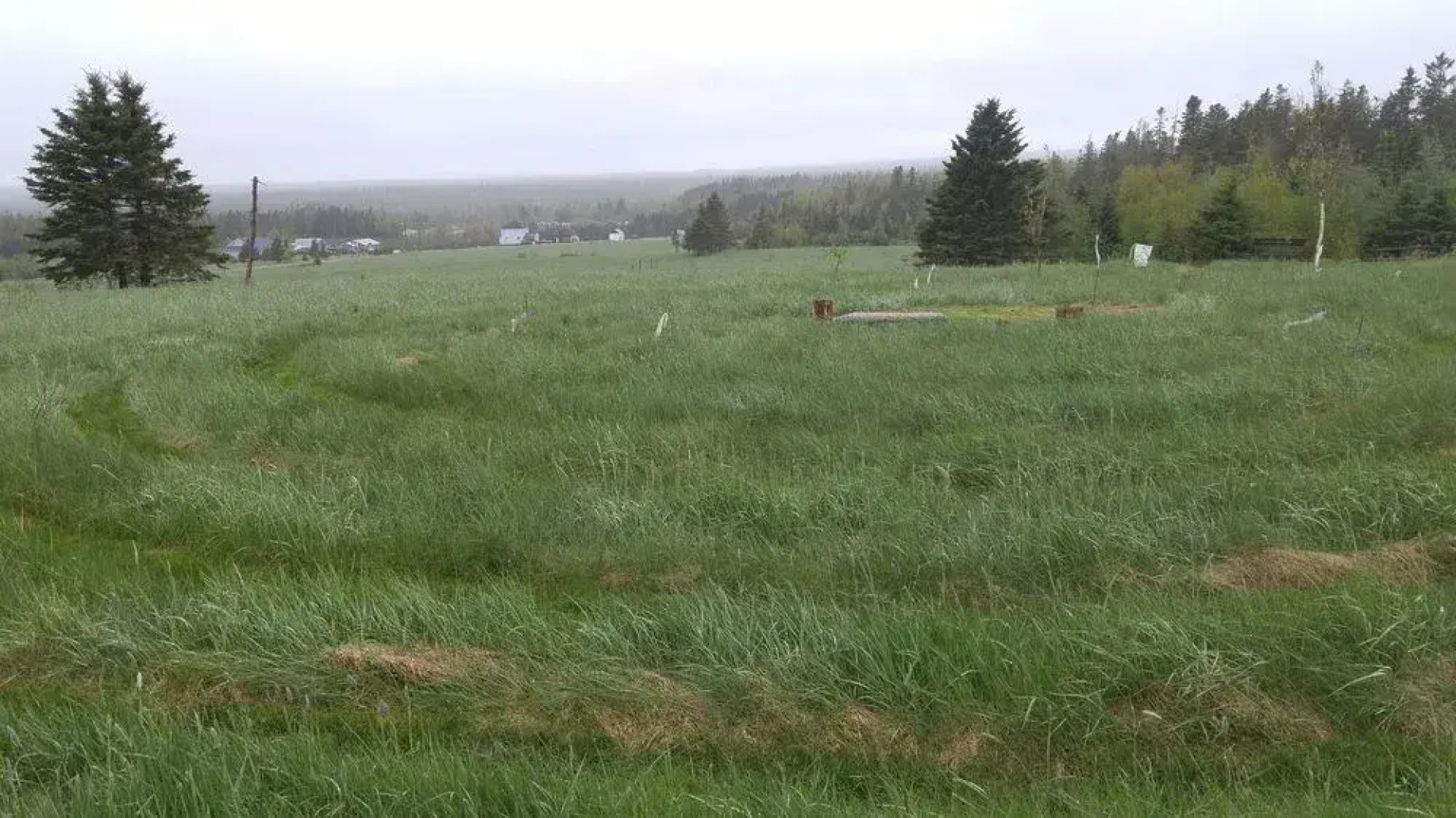 Windsbreath Celebrations and Retreats