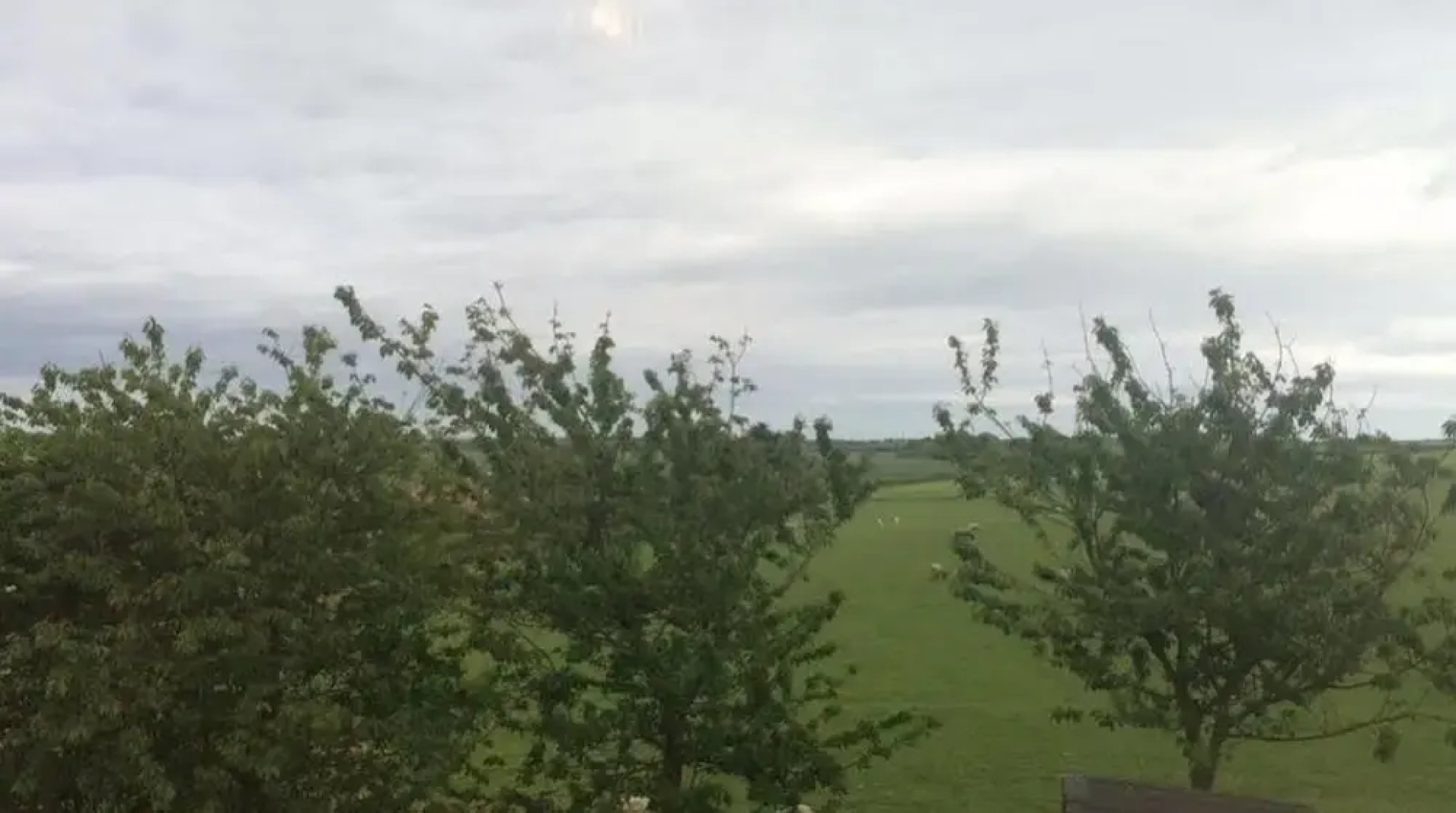 Hillcrest House Bed & Breakfast