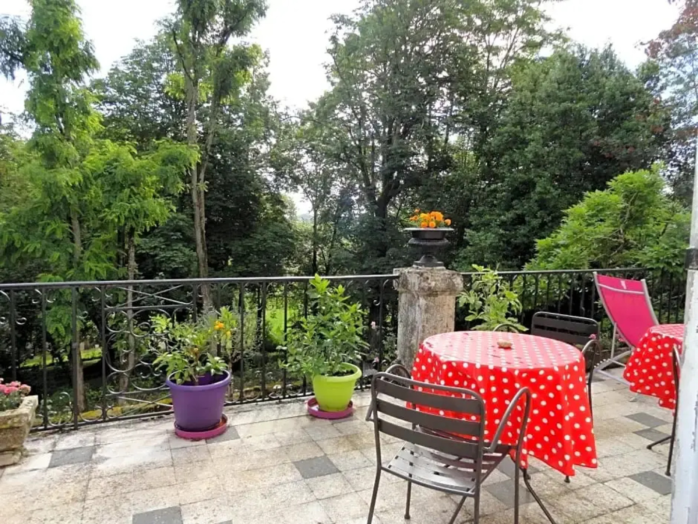 Le Figuier de Pauline