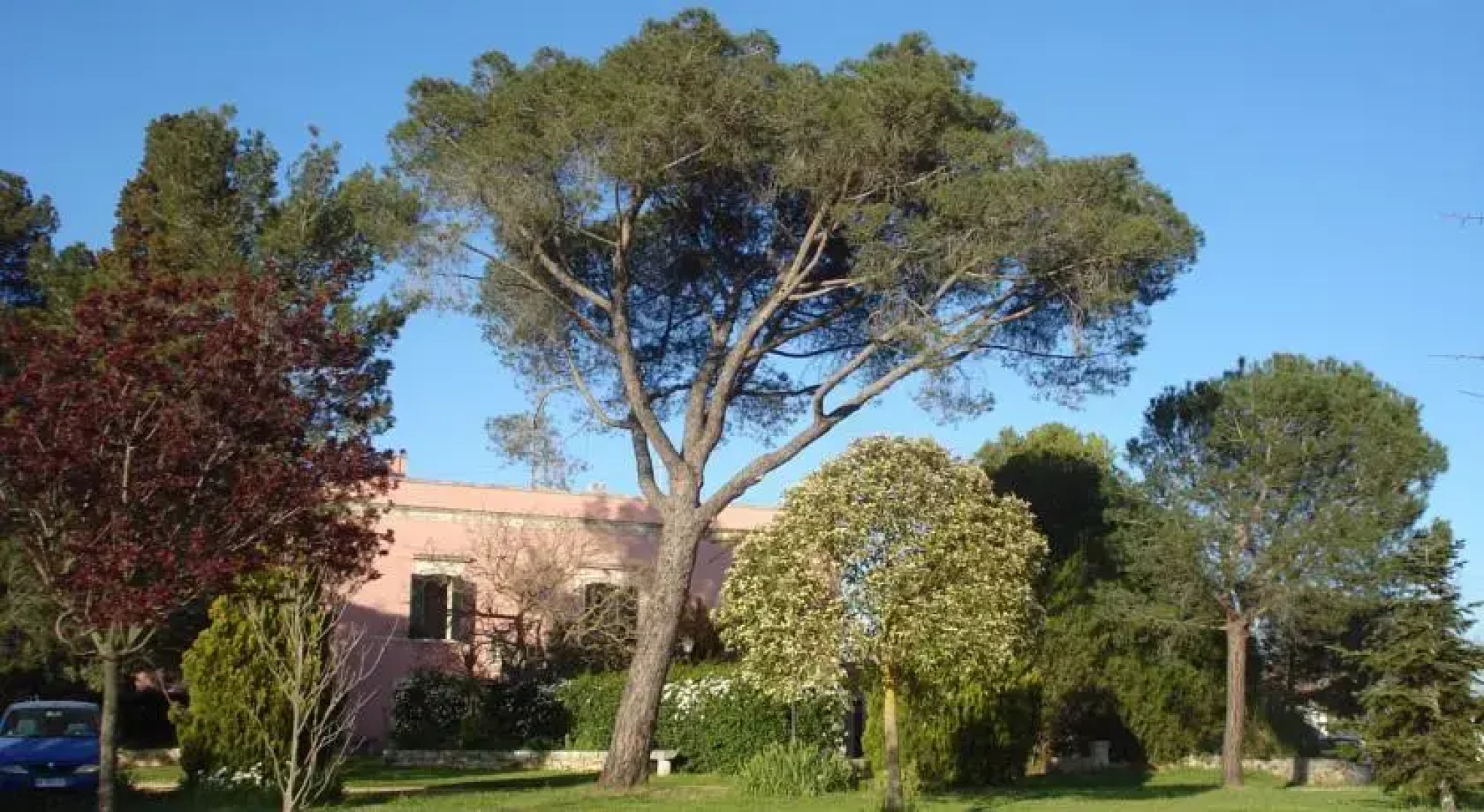 Villa Morea