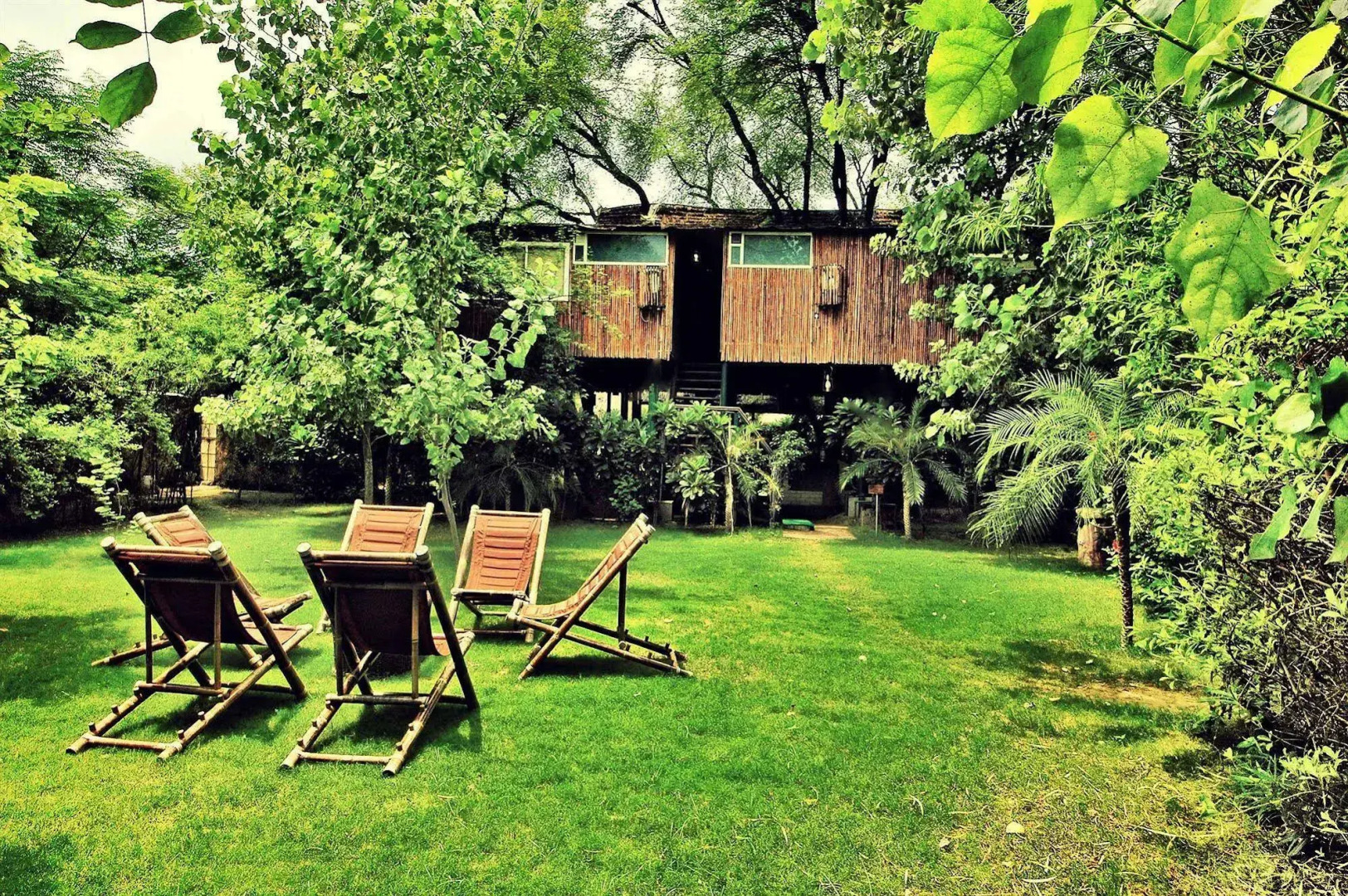 The Tree House Resort