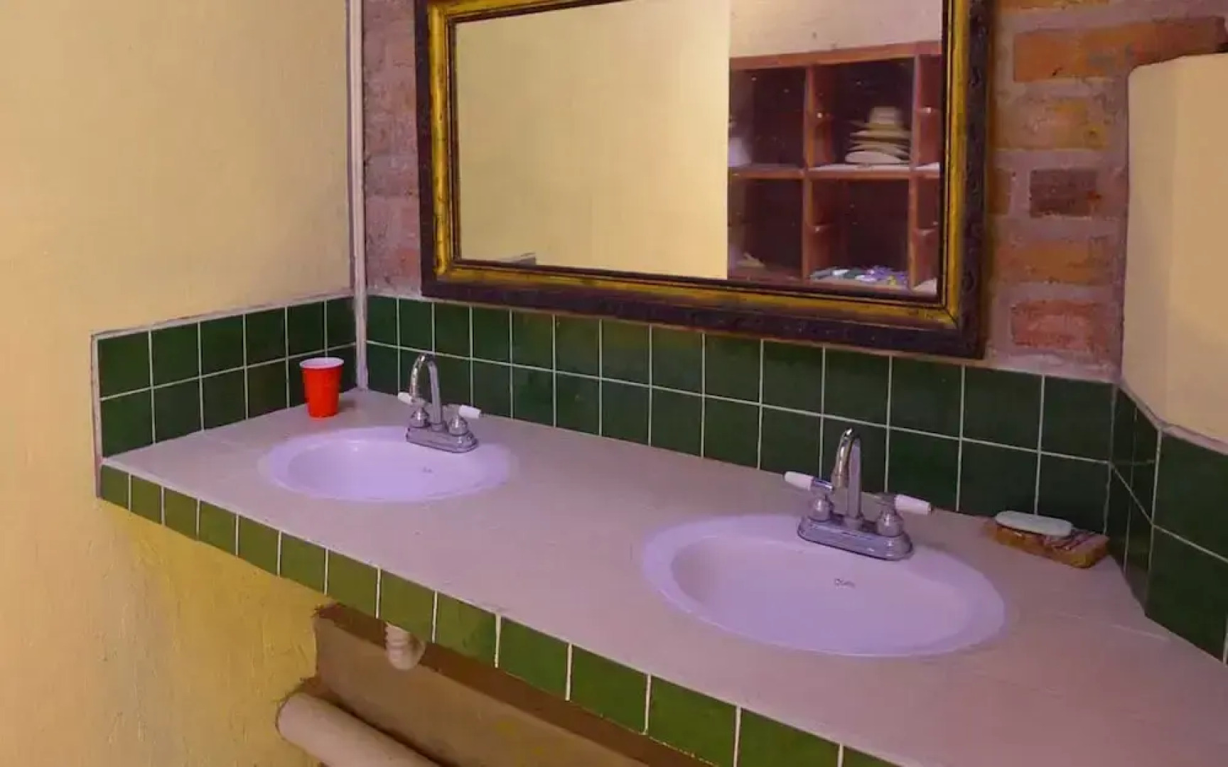 The Octopus's Garden