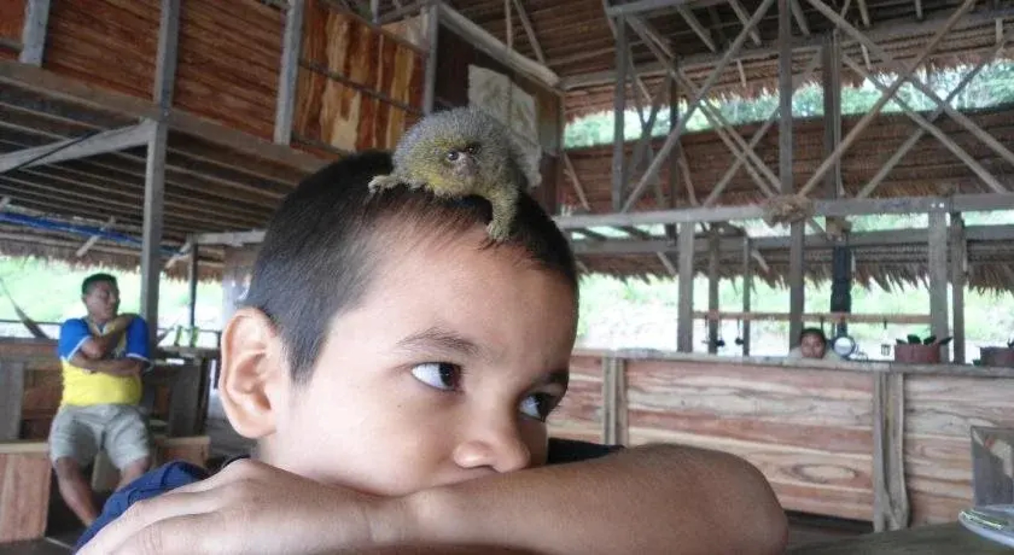 Cabaña Flotante Kurupira