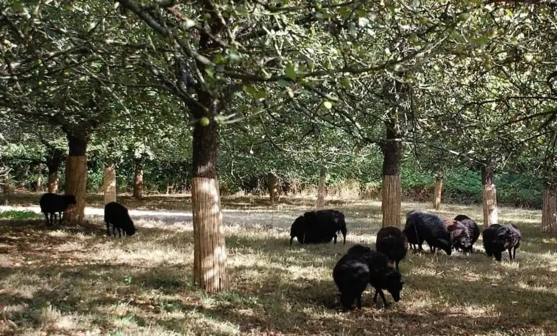 The Gardener's Cottage-Chateau Le Mur