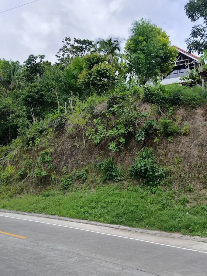 Siquijor Overlooking House 100 Meters Before Cambugahay Falls