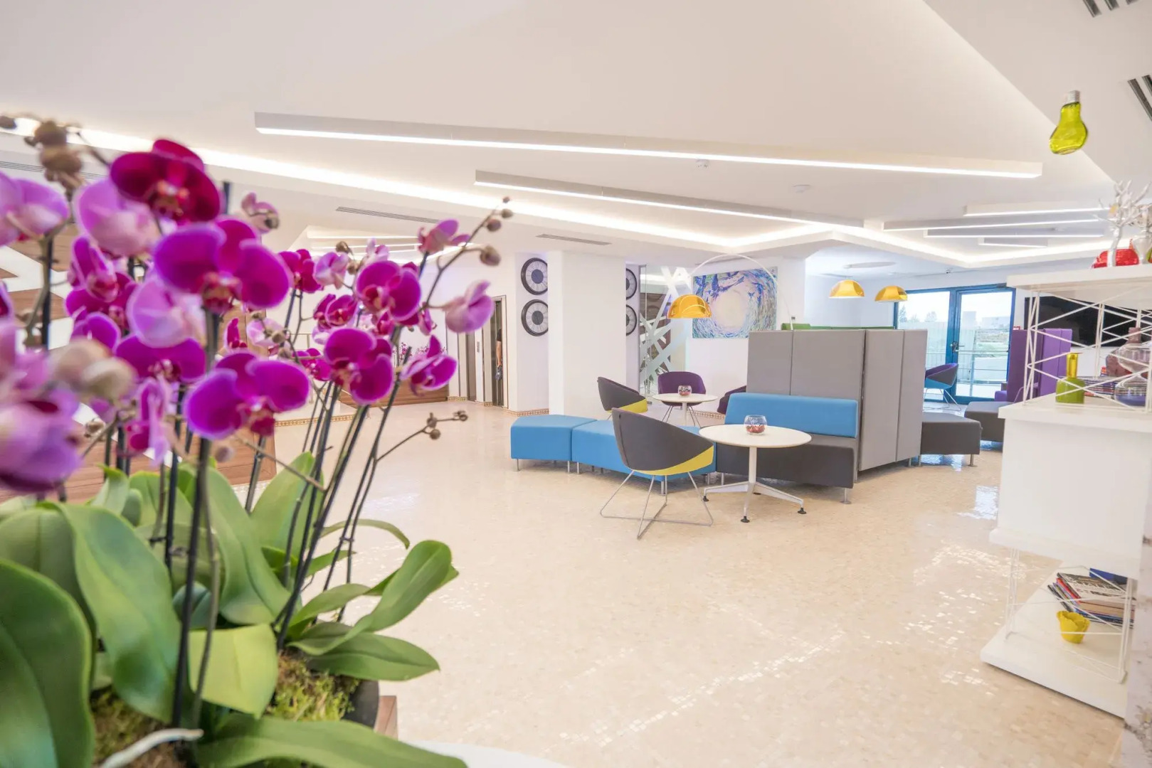 Studio One Accommodation Suites