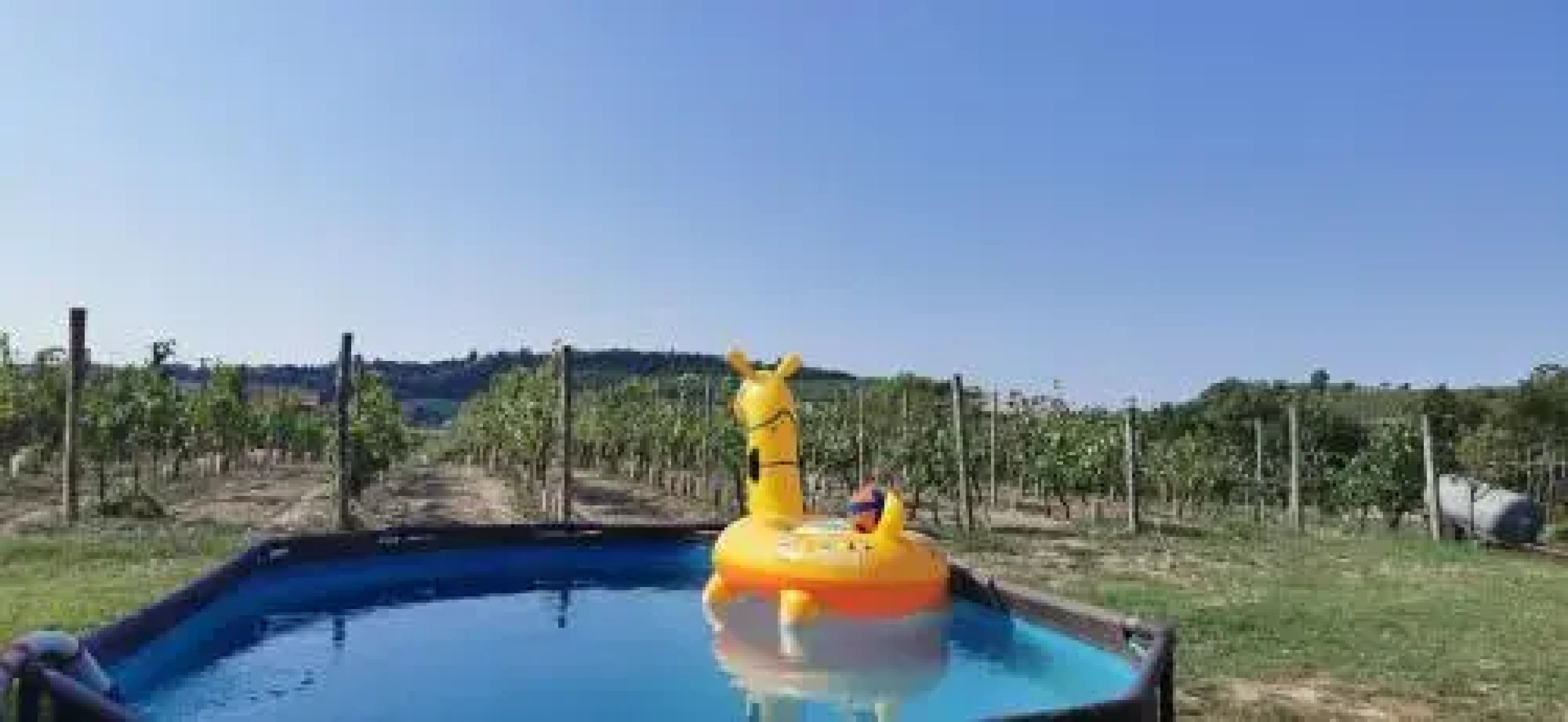 Az. Agr. Olivetta 200S