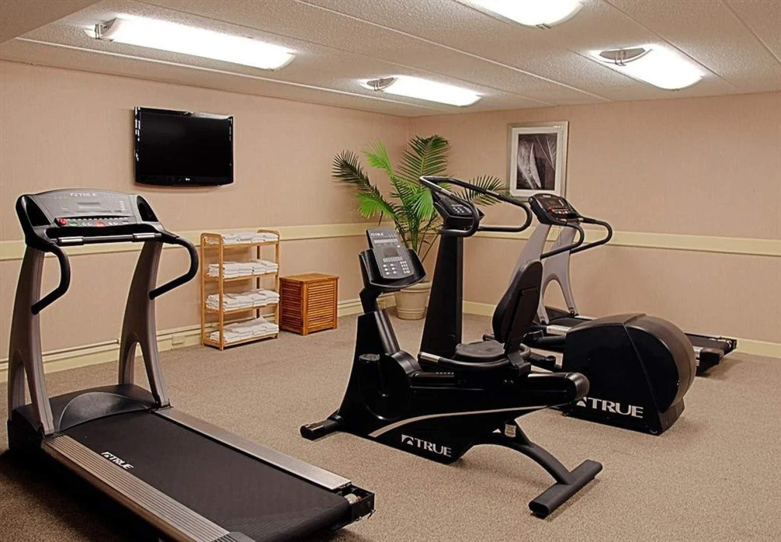 Wyndham Garden Dayton South