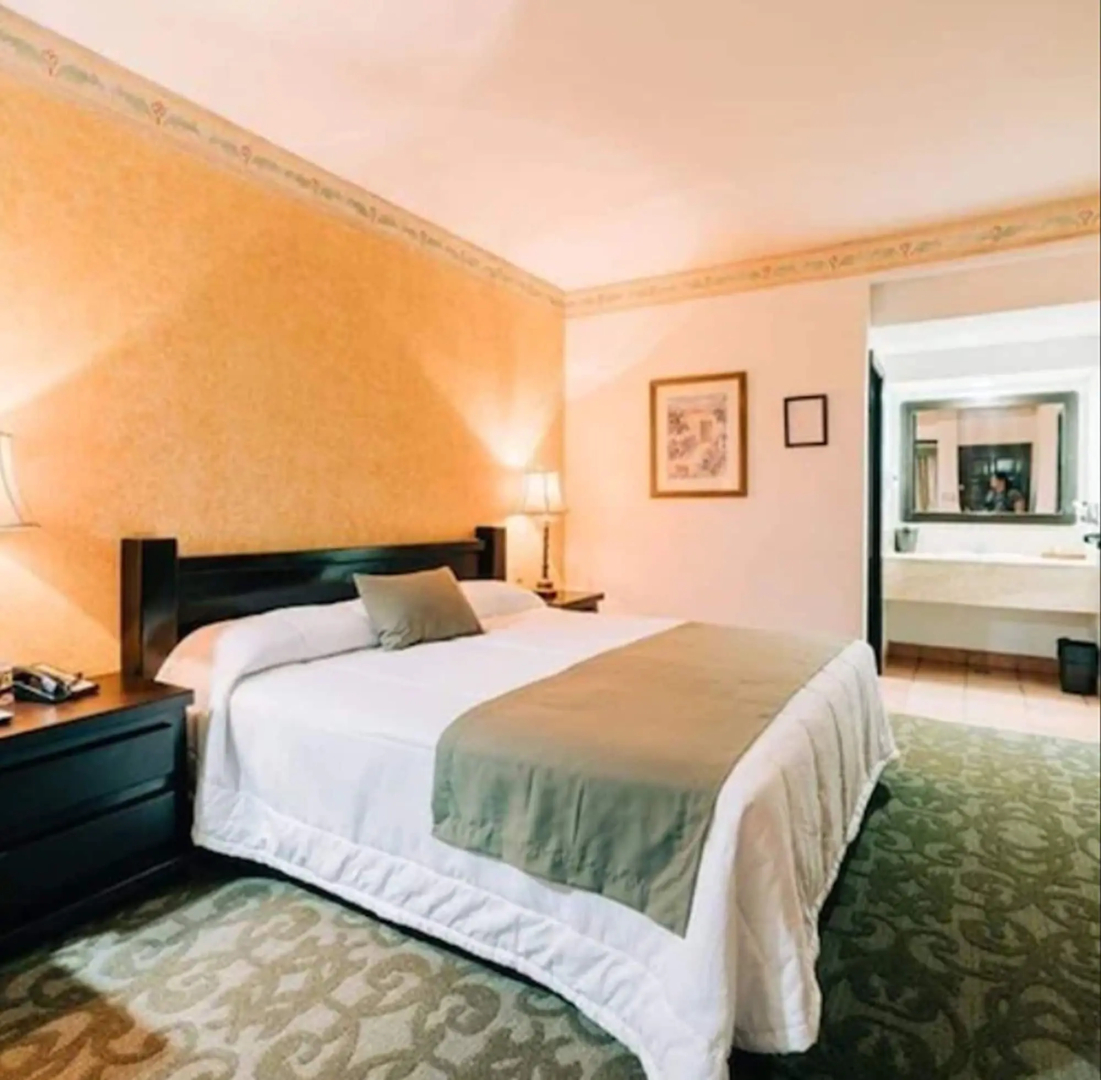 Hotel Suites el Paseo