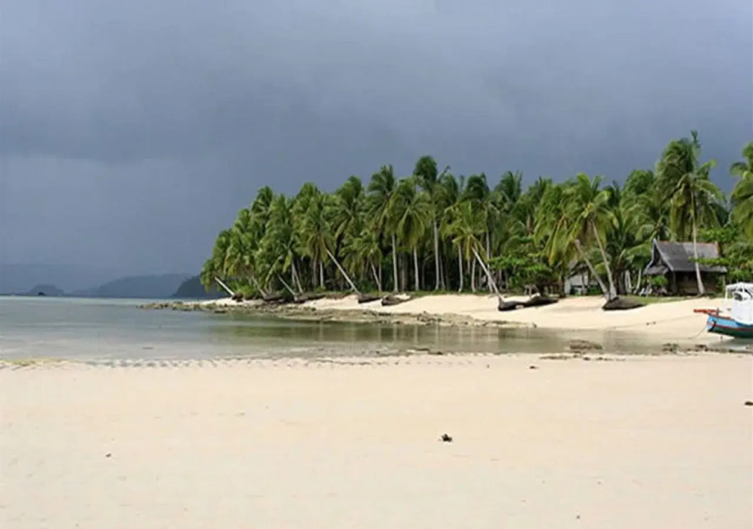 Tarzans Beach Resort