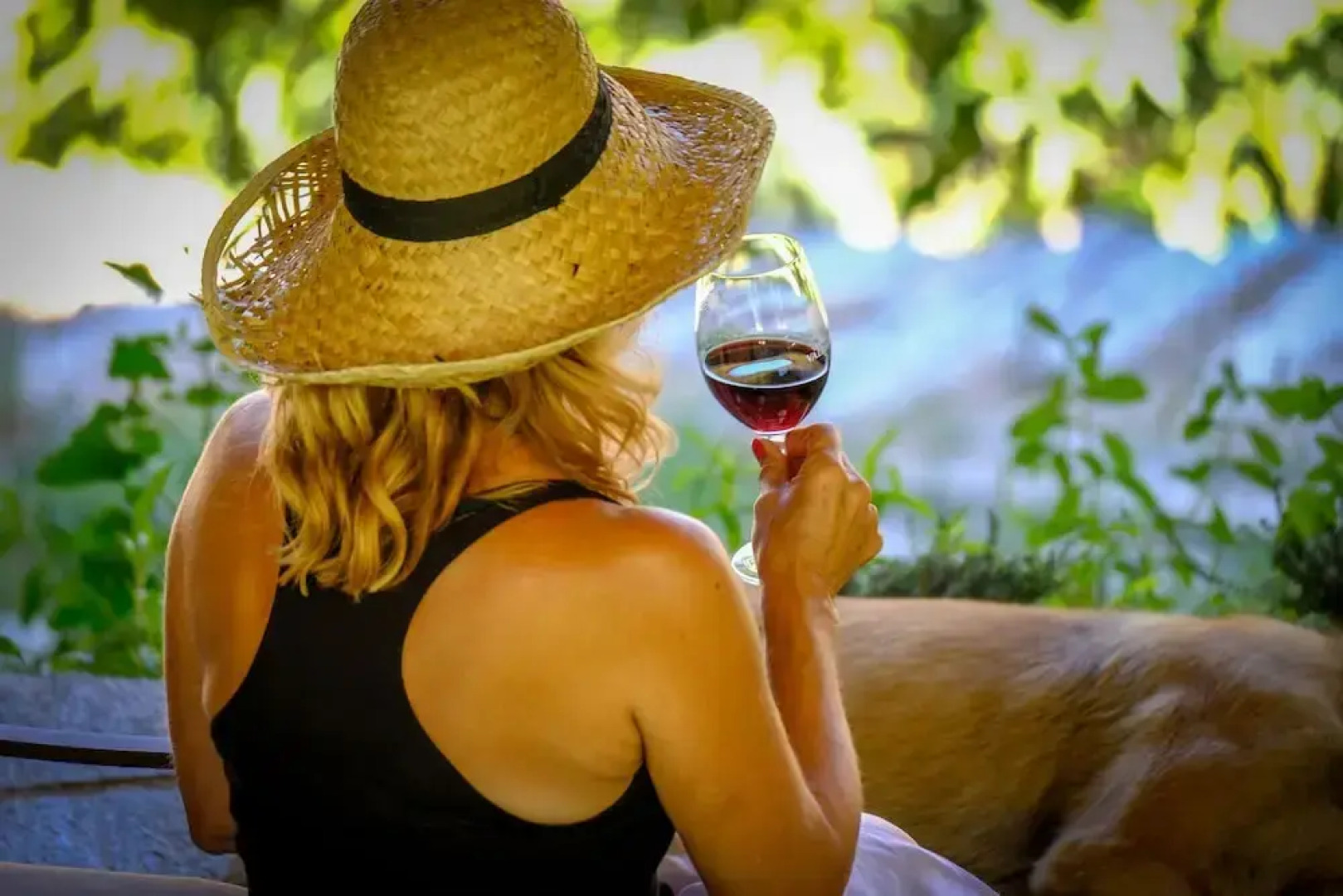 Casa do Rio Wine Hotel - Vallado