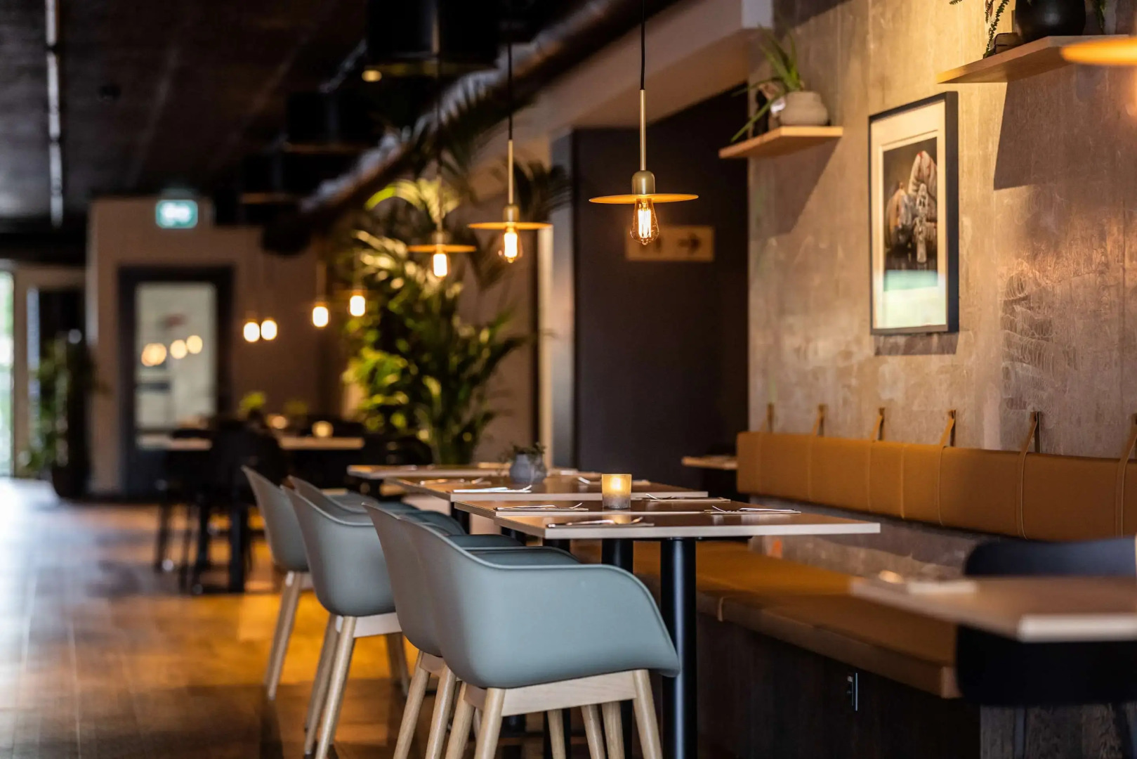 Peak 12 Design Hotel