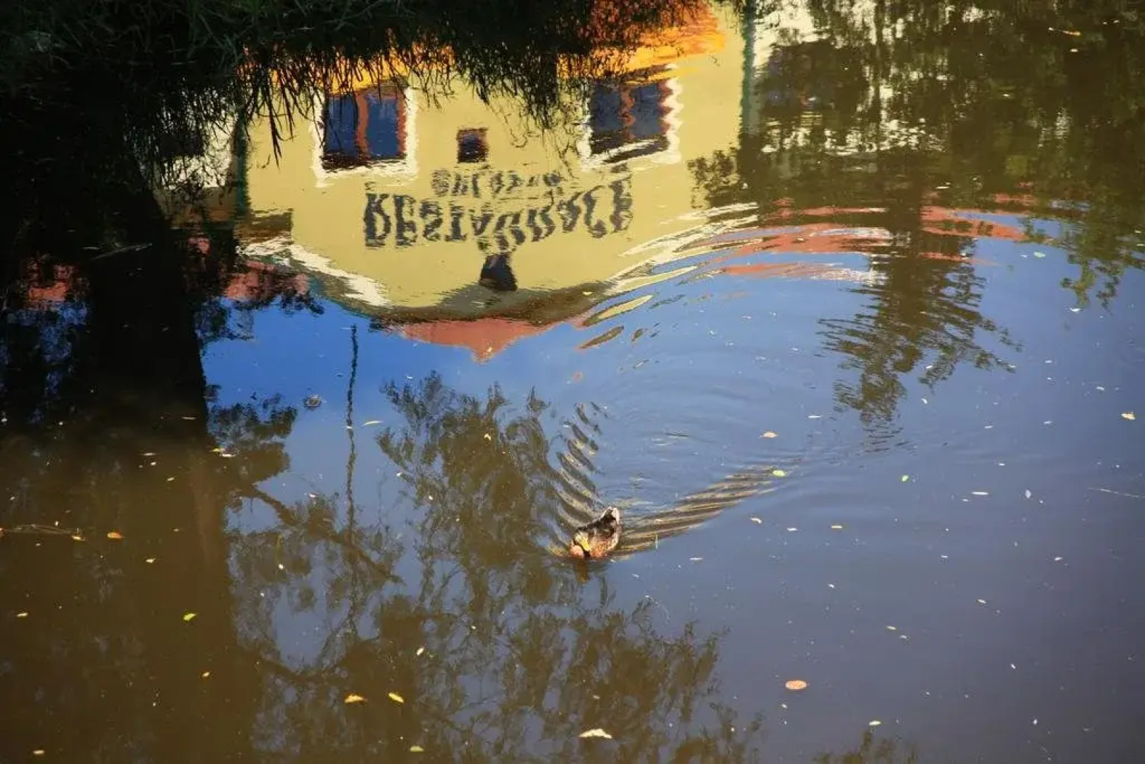 Guest House Splávek