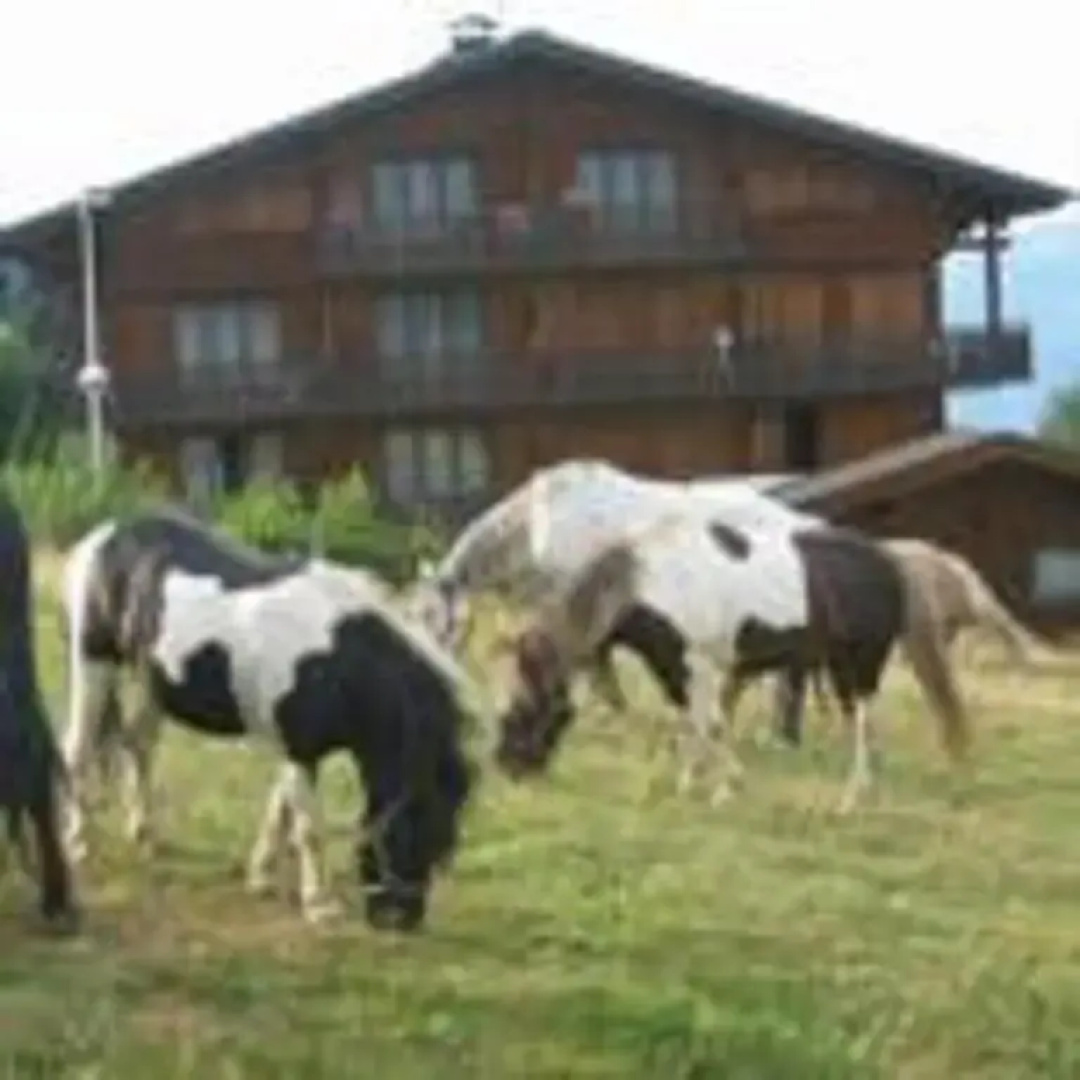 Chalet Gabriel