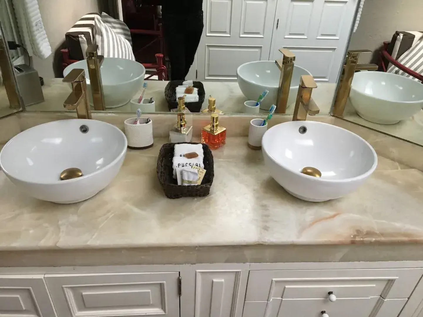 Pug Seal B&B Coyoacan