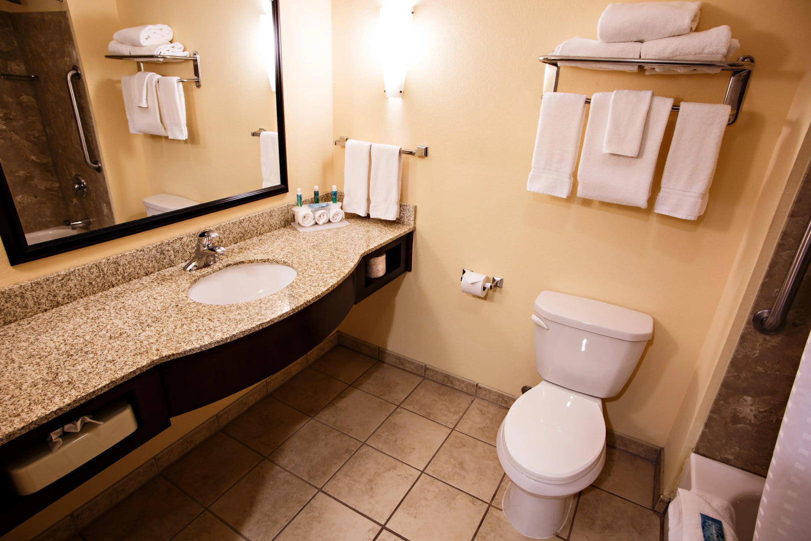 Holiday Inn Express Hotel & Suites Harrisburg West by IHG