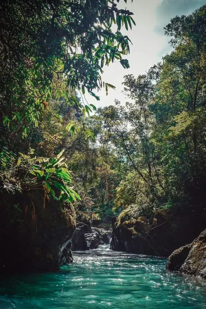 Ventanas en Corcovado
