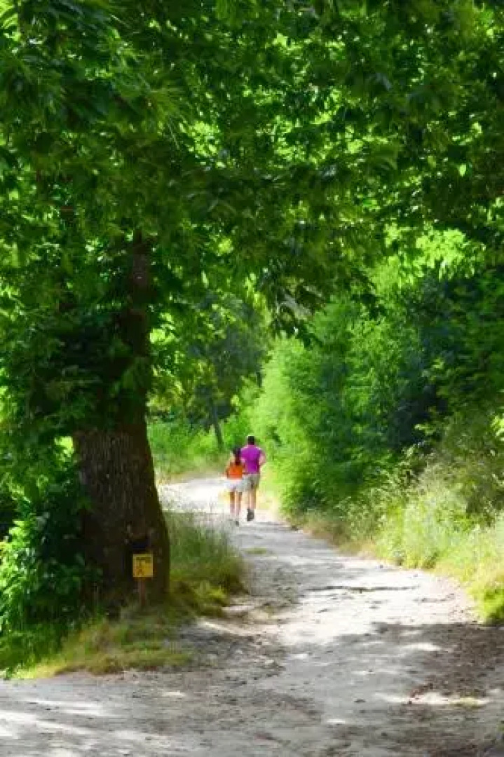 Casa de Campo S. Torcato - Moradal - Turismo Espaco Rural