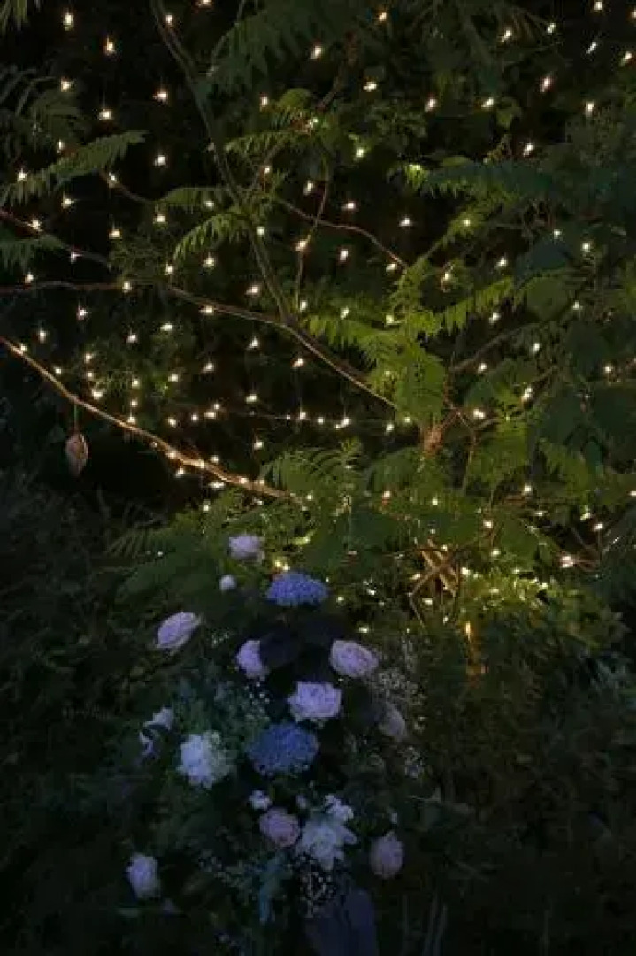 Chalk Farm Hotel LDC