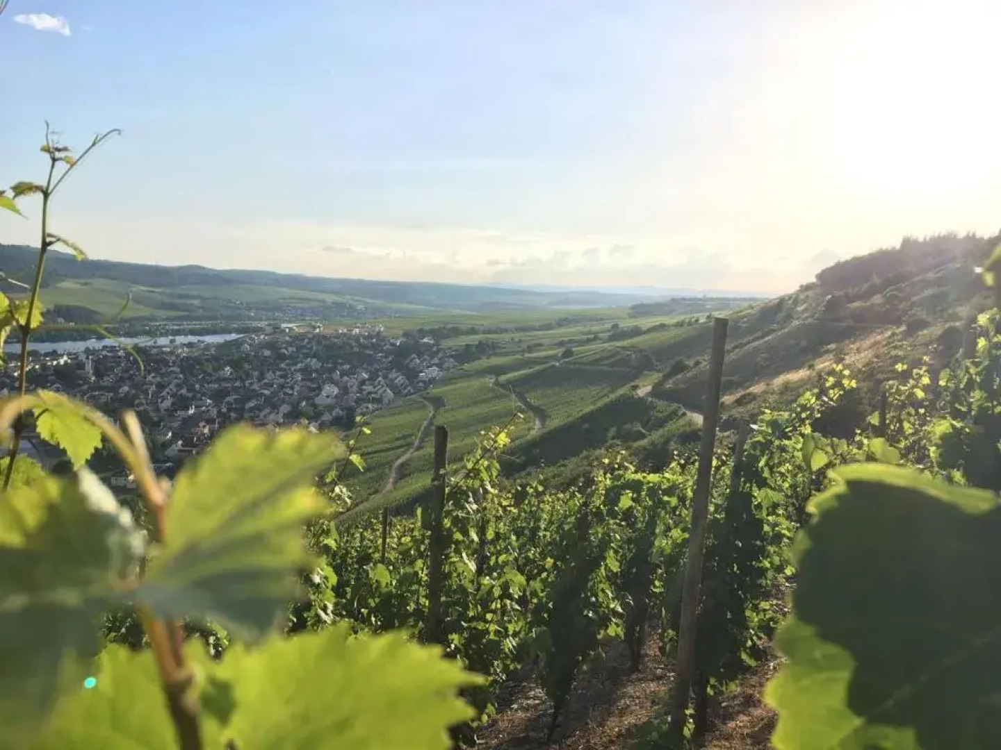 Ferienwohnung & Apartment Am Steinbrunnen