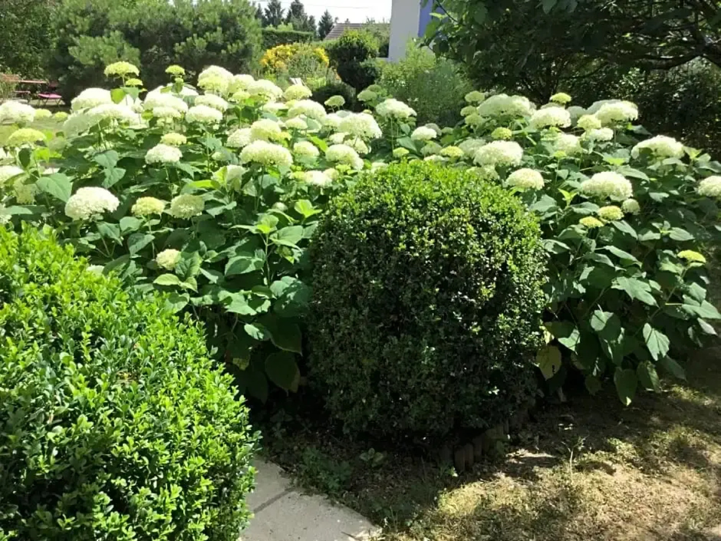 Chambres d'Hotes au Pays de Valencay en Berry
