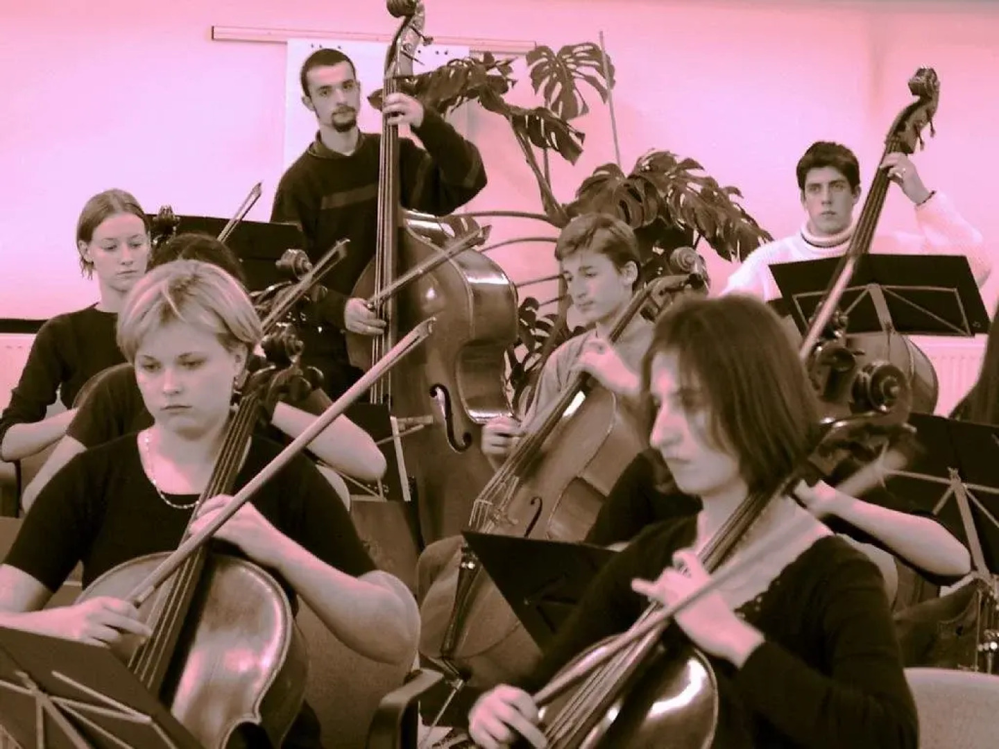 Boutique-Hotel LiebesNesterl Bergwirt