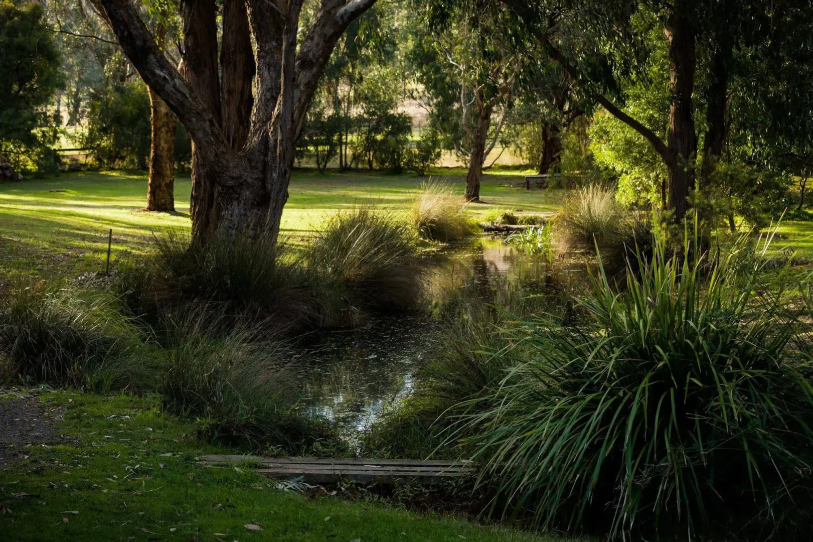 The Burrow At Wombat Bend