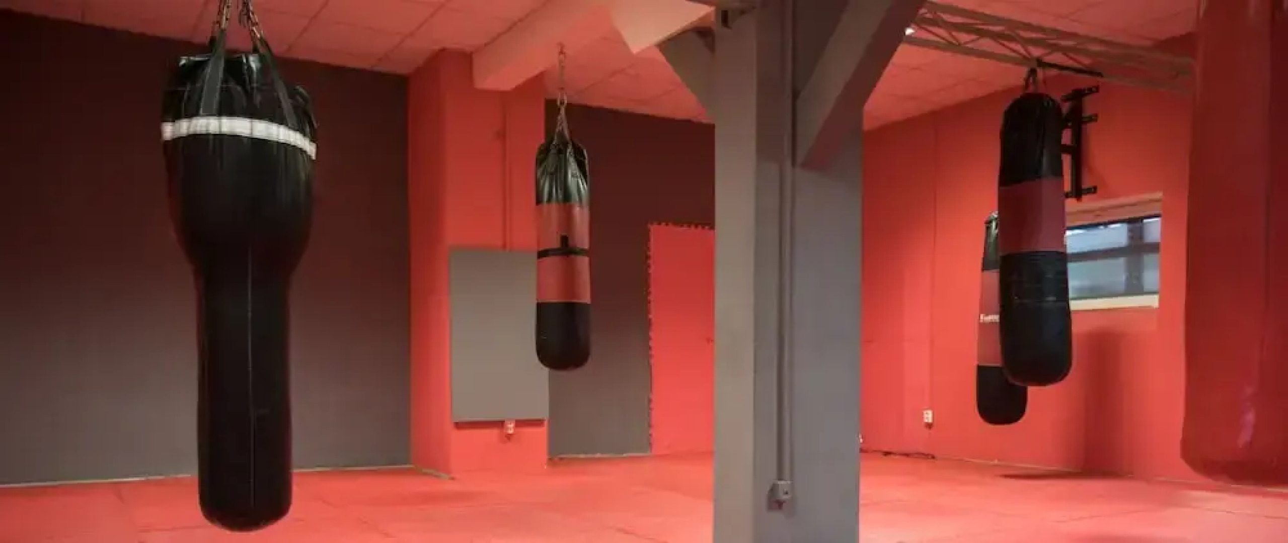 Apartment Pulse Fitness