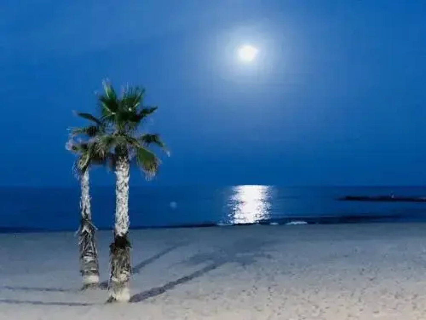 Apartament El Castillo De Bonalba