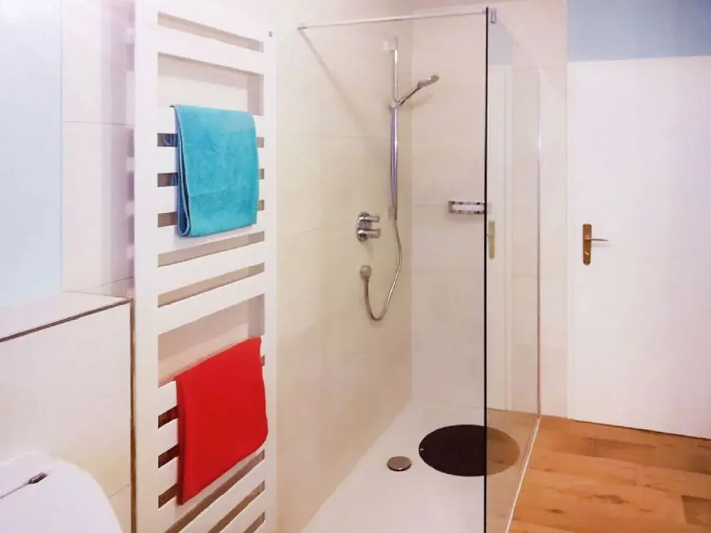 Apartment  Friesenheim