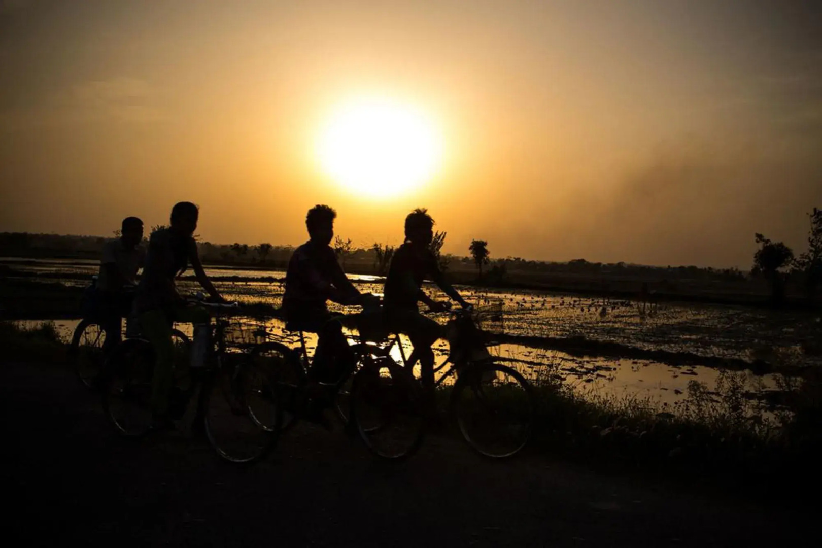 Chitwan Adventure Resort