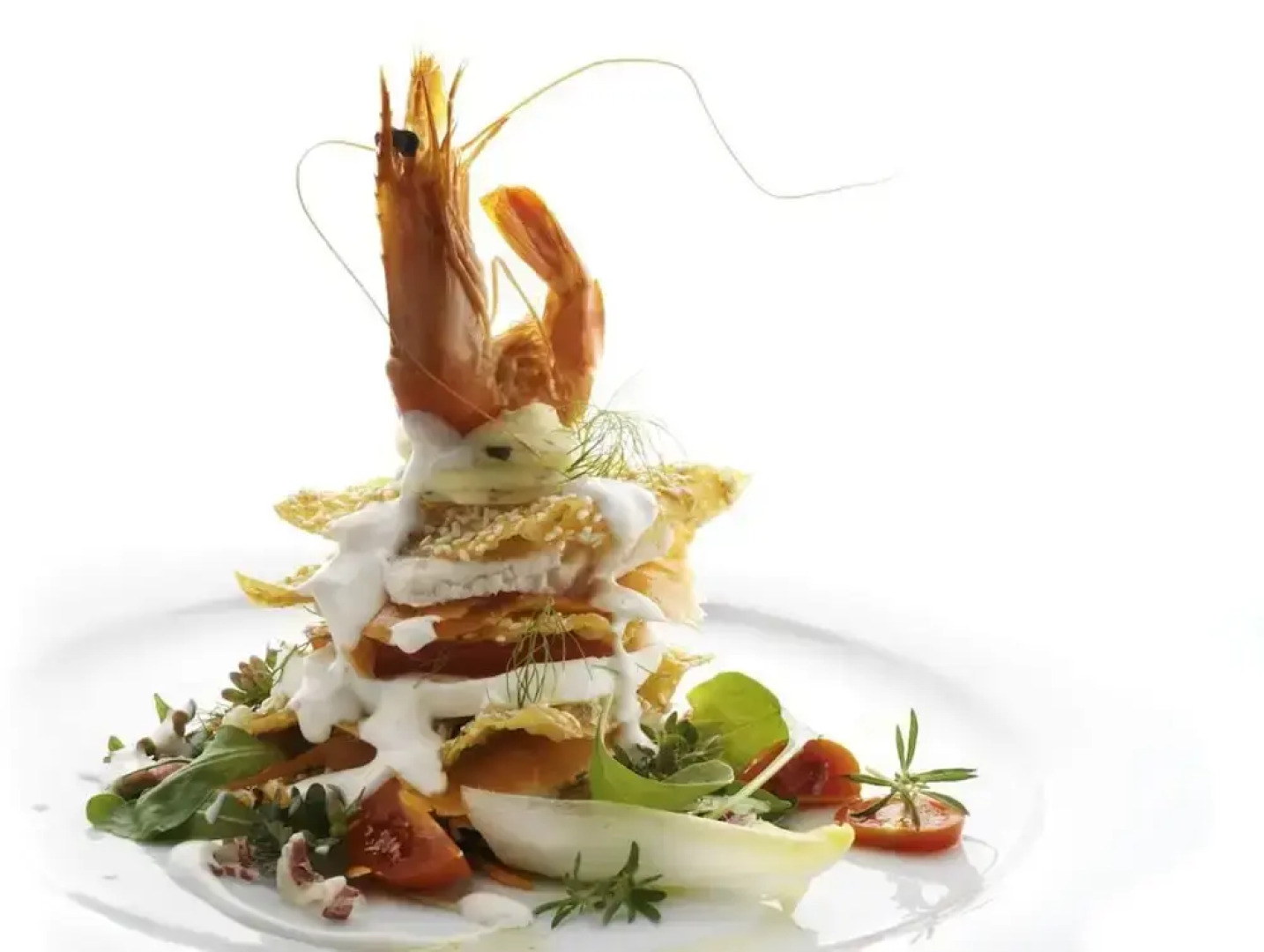 Perla, Resort & Entertainment