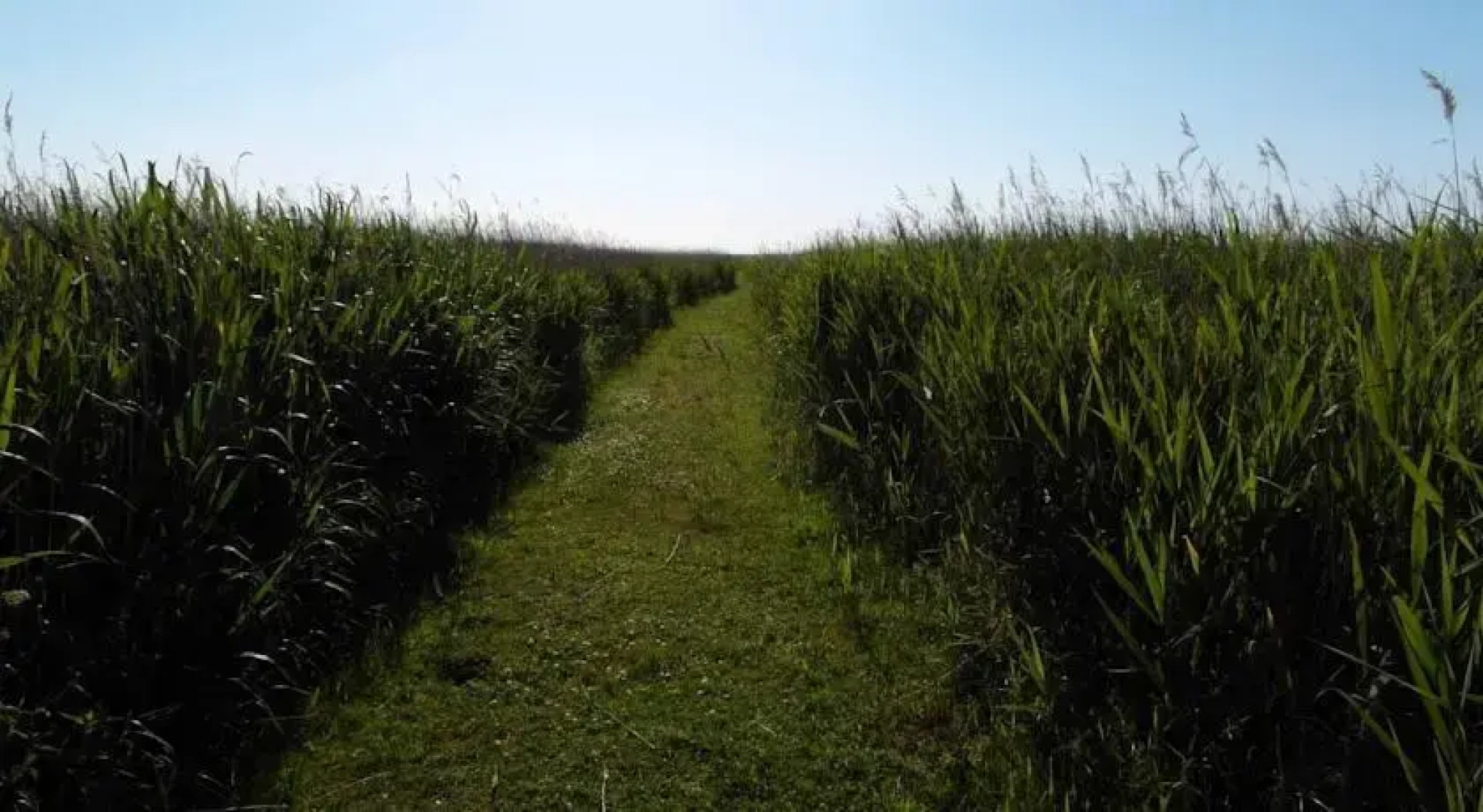 Ferienwohnungen Gebrüder Grimm
