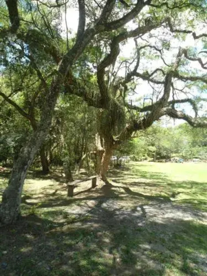 Hospedaje Rancho 3A