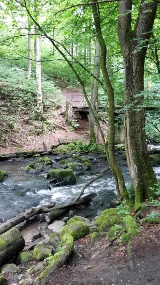 Ferienwohnung Bender