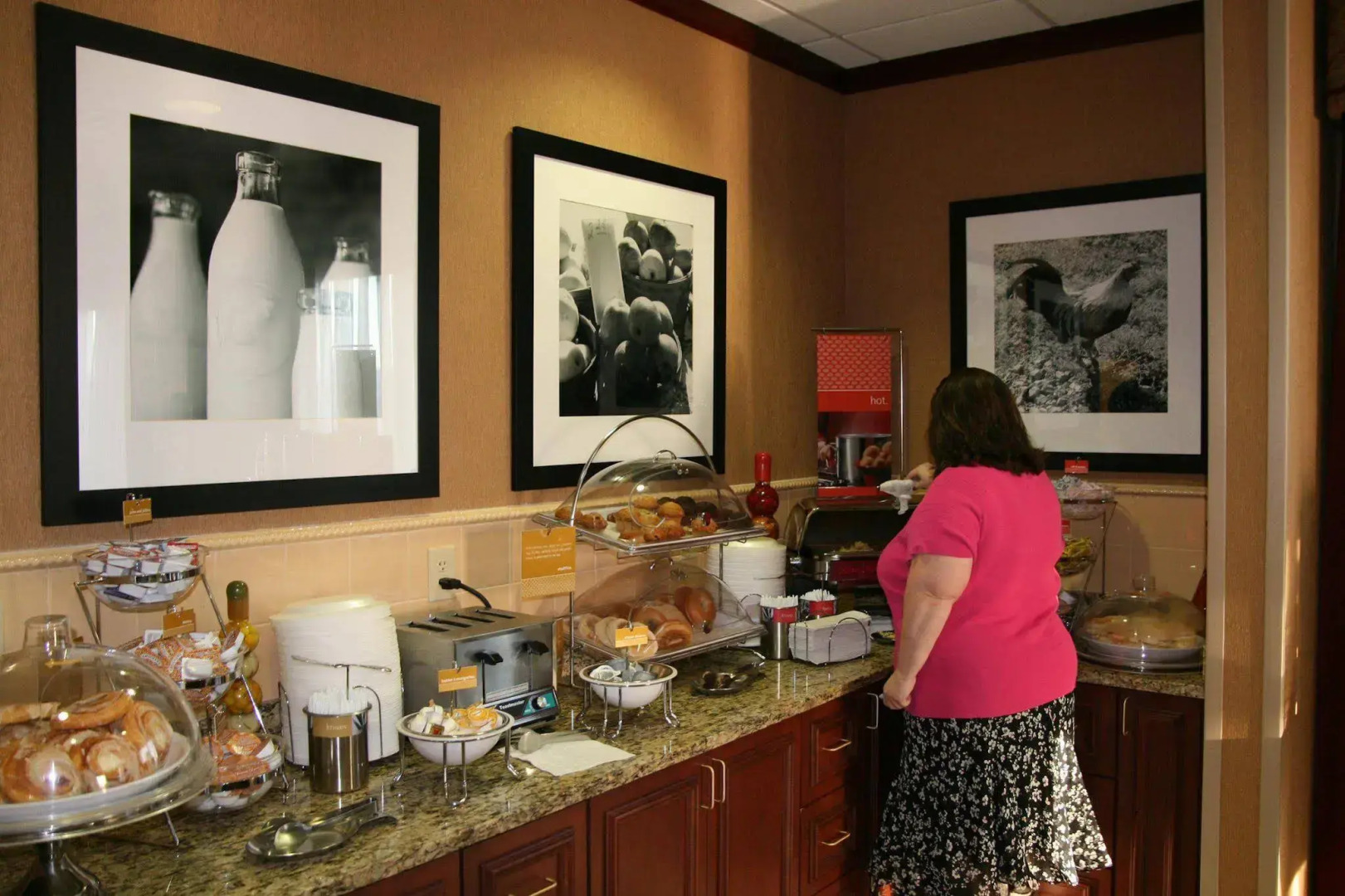 Hampton Inn Plover/Stevens Point