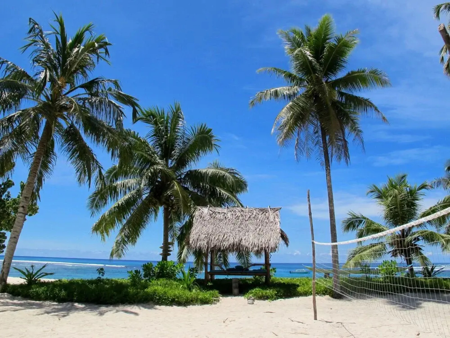 Hollow Tree's Resort