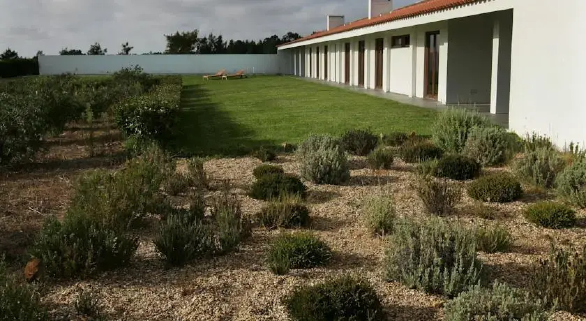 Monte Novo Do Sardanito