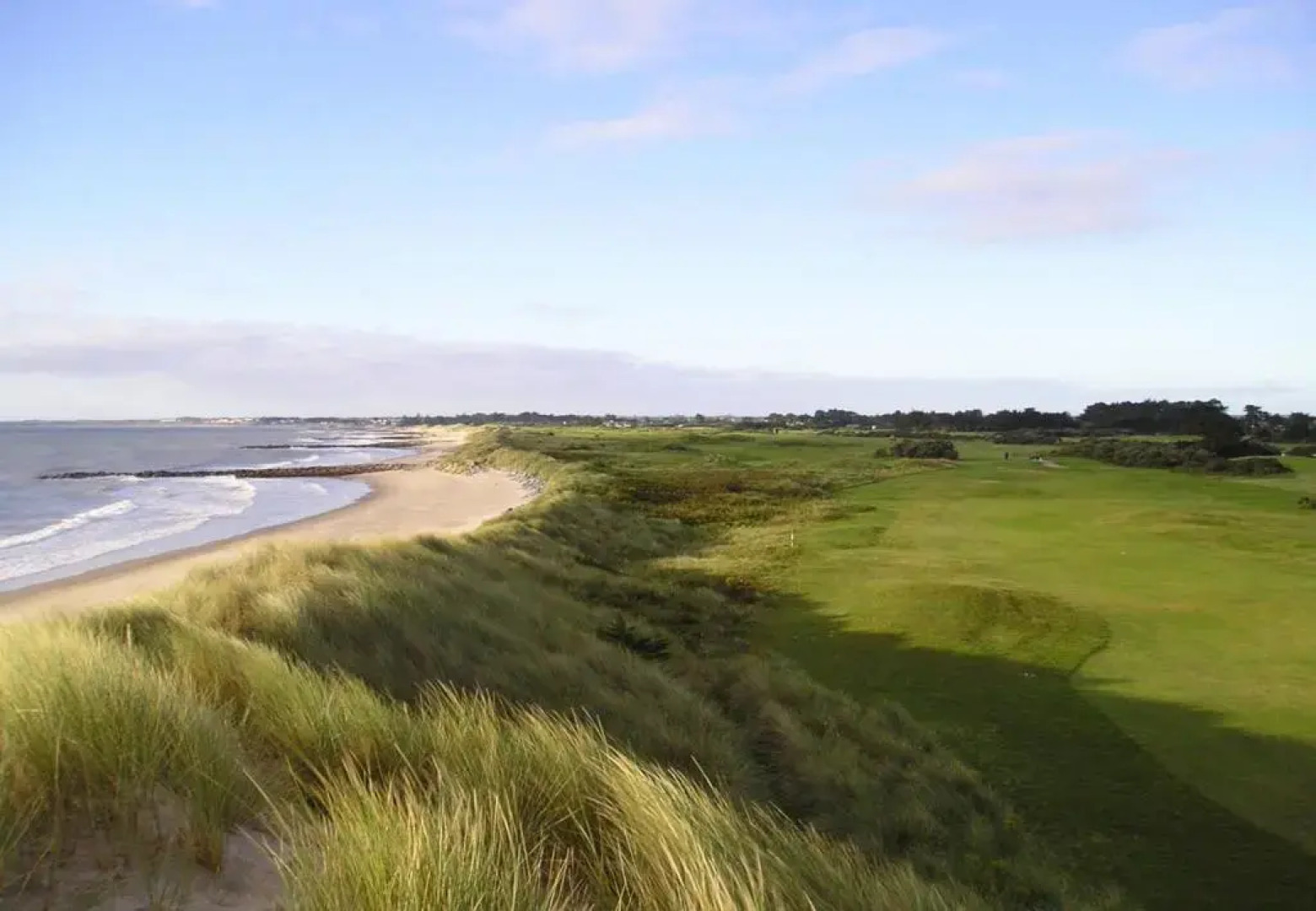 Forest Park Holiday Home No 13