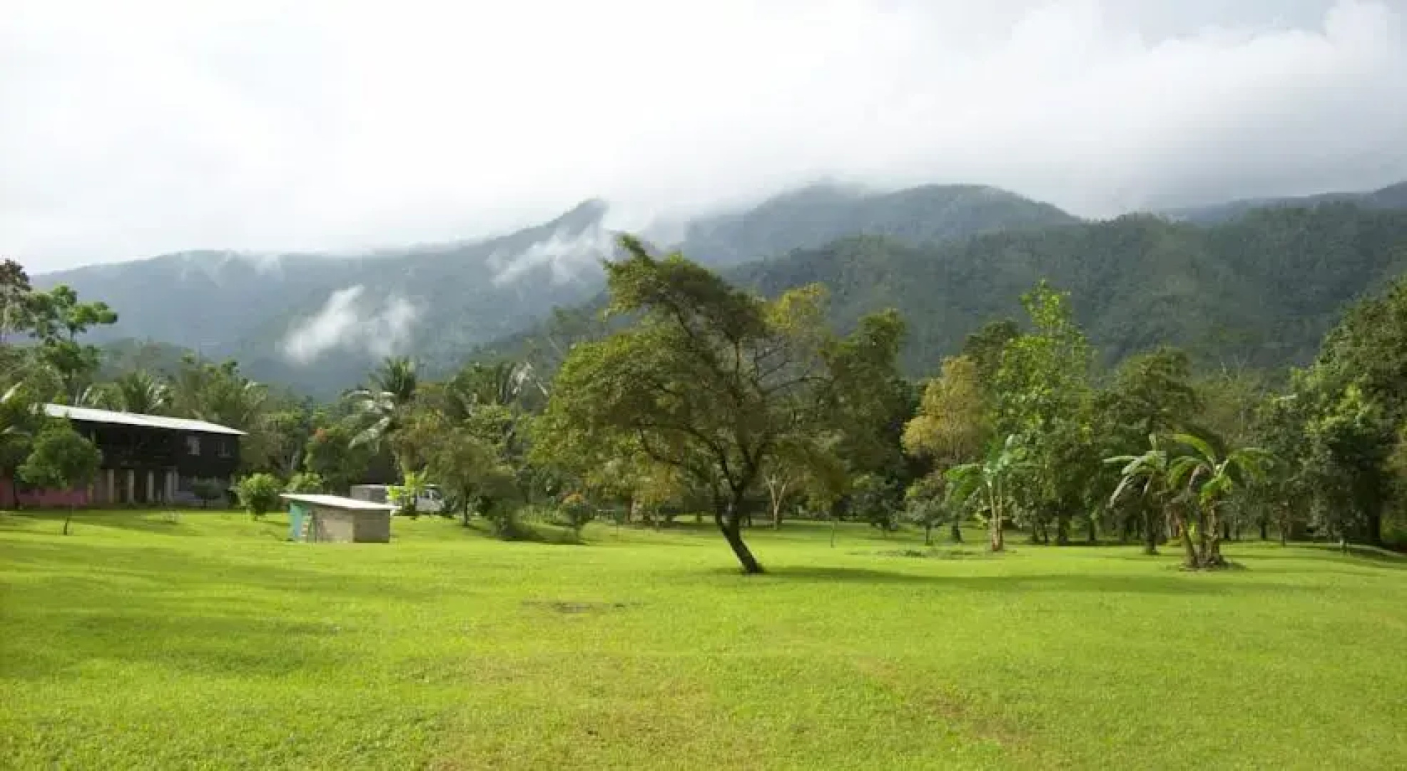 Hummingbird Guest Lodge & Hostel