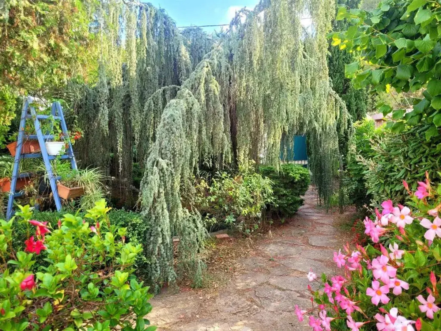 Villa 78 m2 - Au Chant des Cigalous