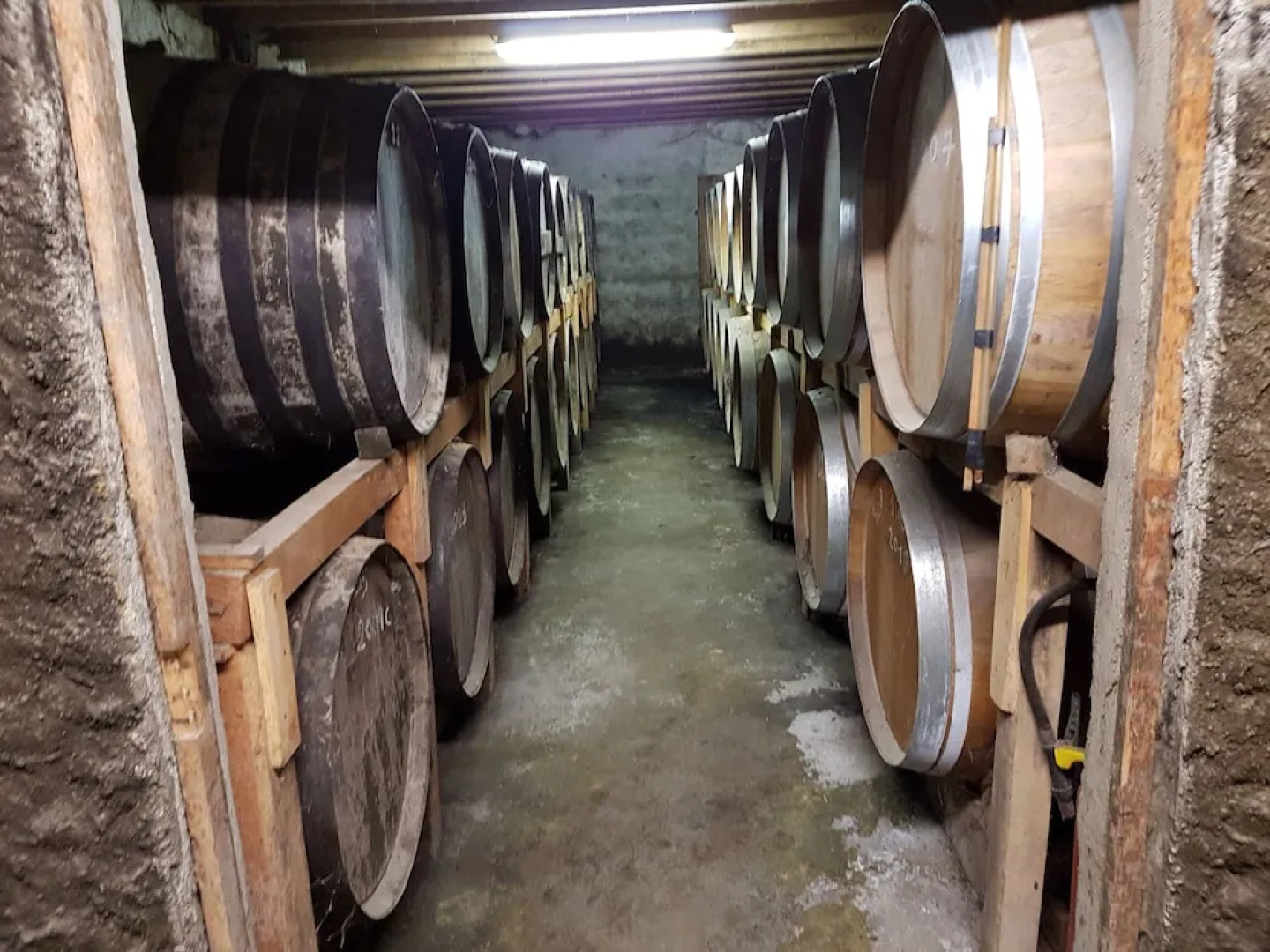 Gîte de La Gurlanne (Beautiful Renovated Farmhouse in Gers, for 6 pers