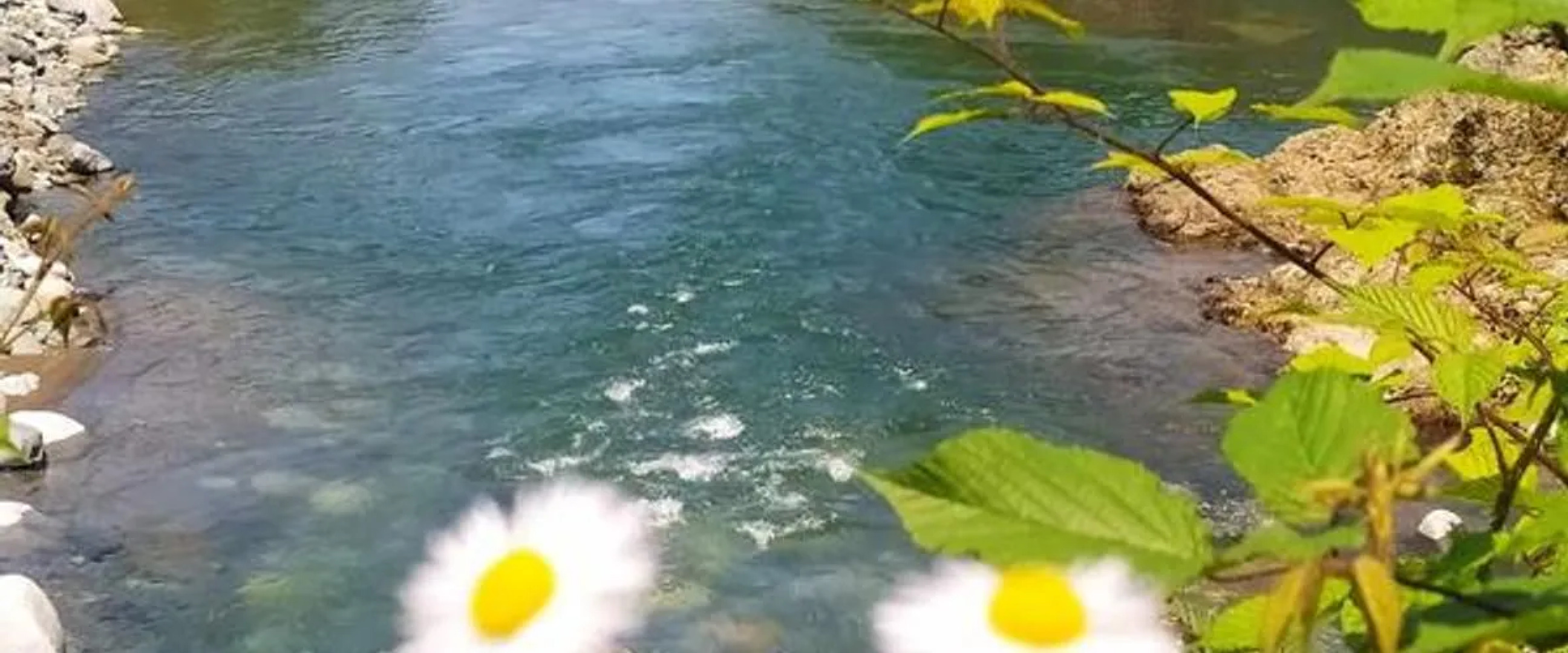 Rubaşı Otel Fındıklı