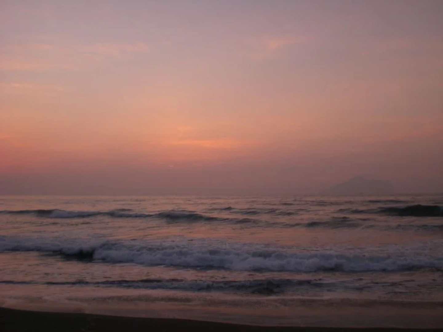 Waiao Beach House