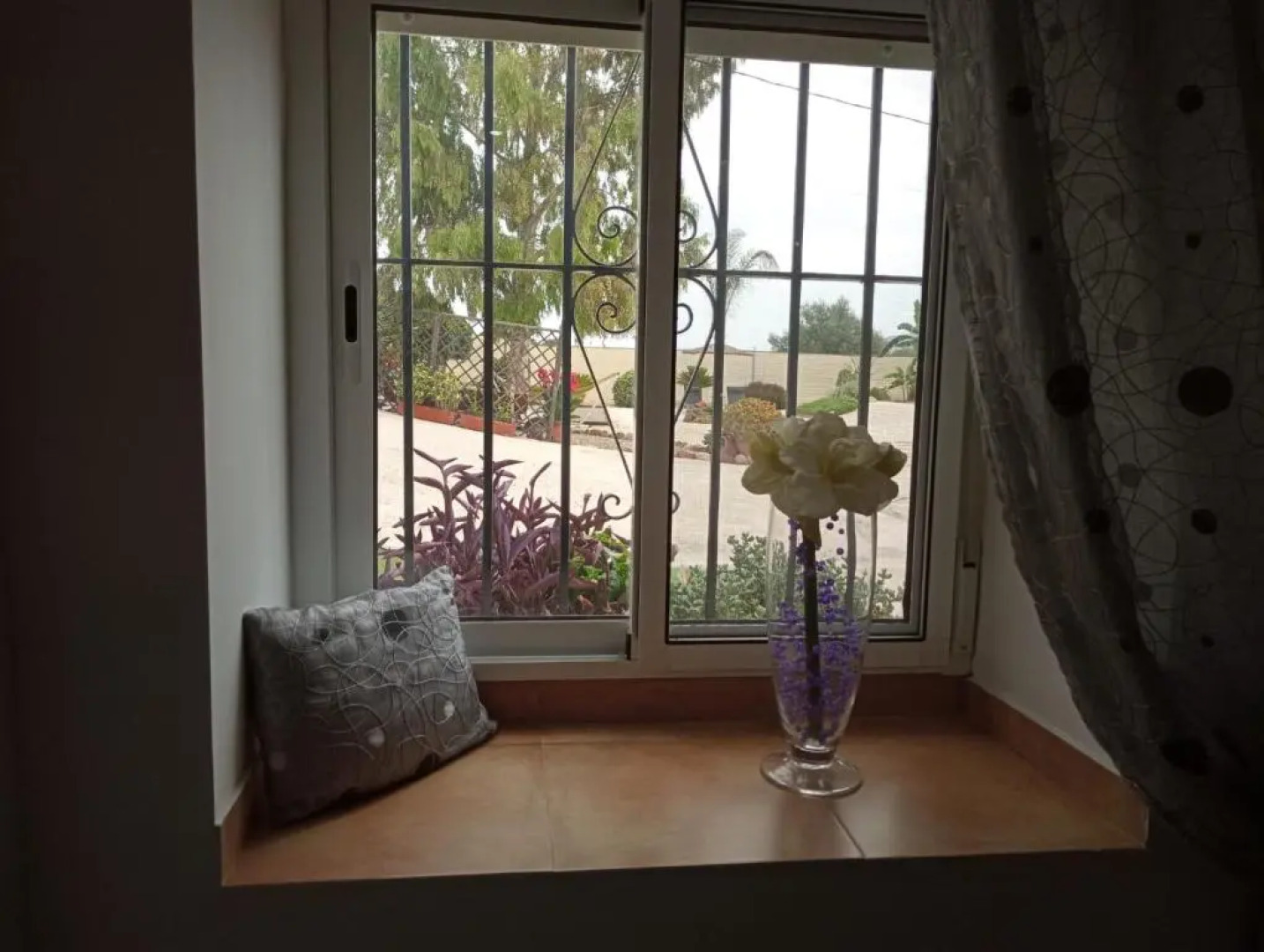 Home Benitez Pizarra