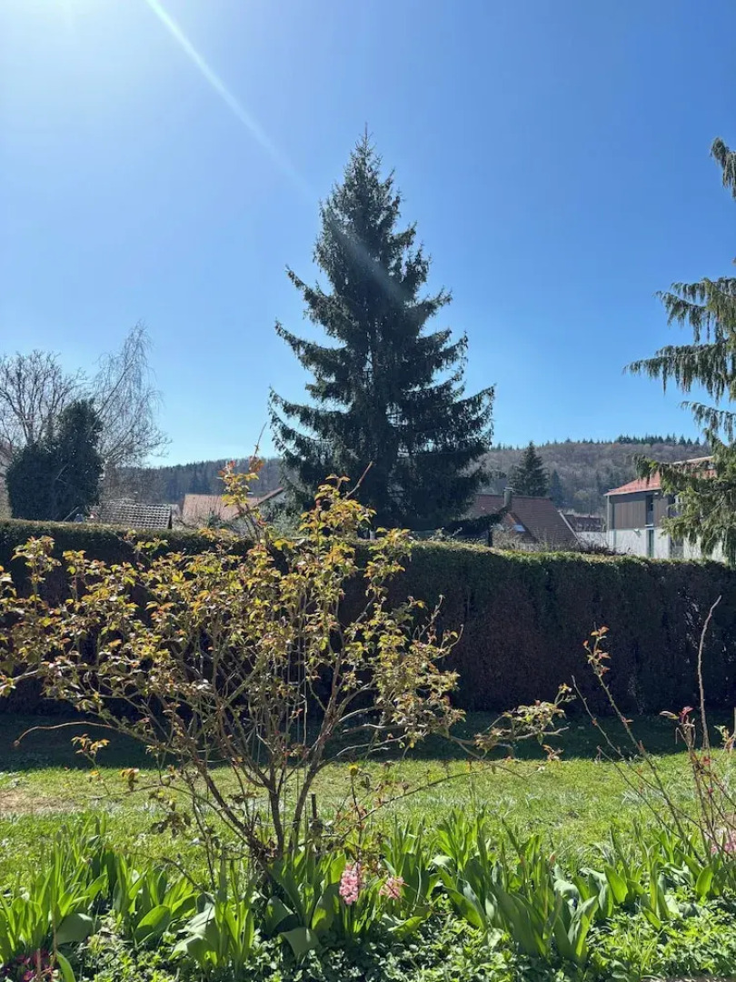 Schwabenperle Apartments