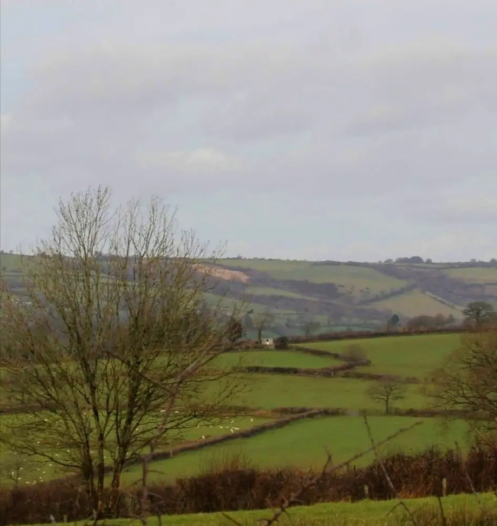 The Shearer's Hut, Sleeps 2, Wood Burner, Fire Pit