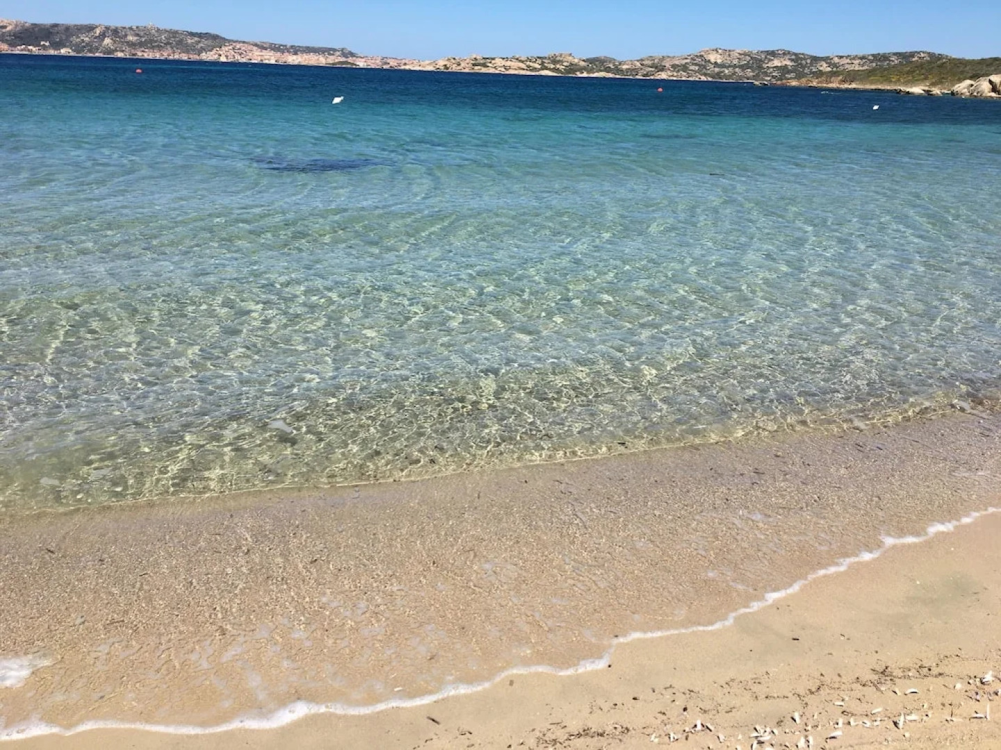 Chic Beachside Apartment